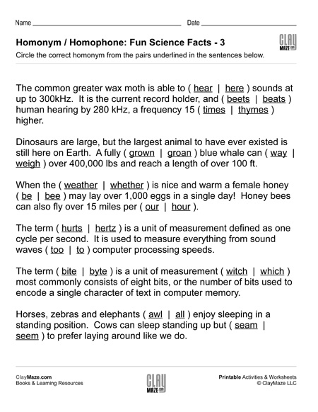 homophones worksheet